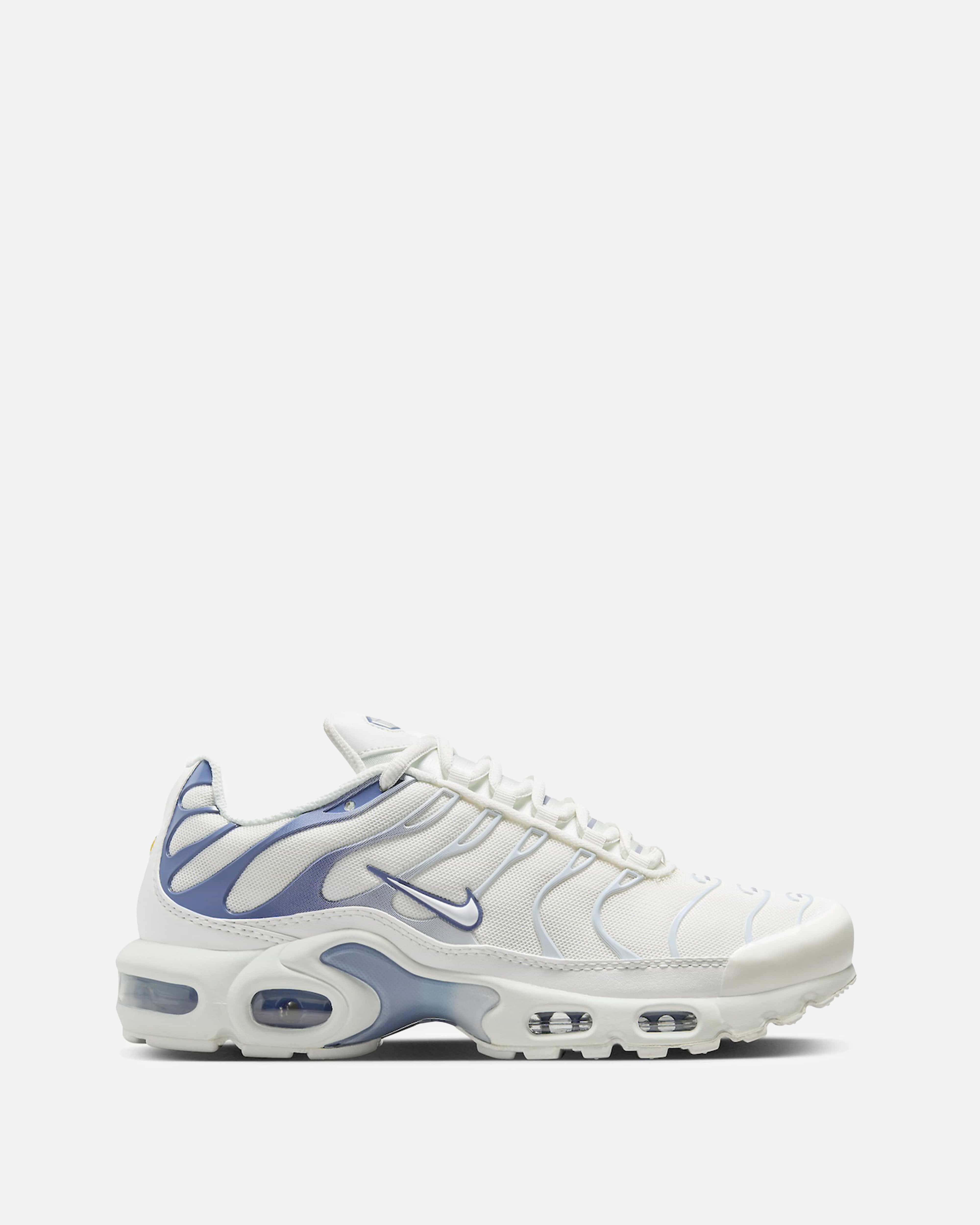 Women's Air Max Plus 'Ashen Slate'