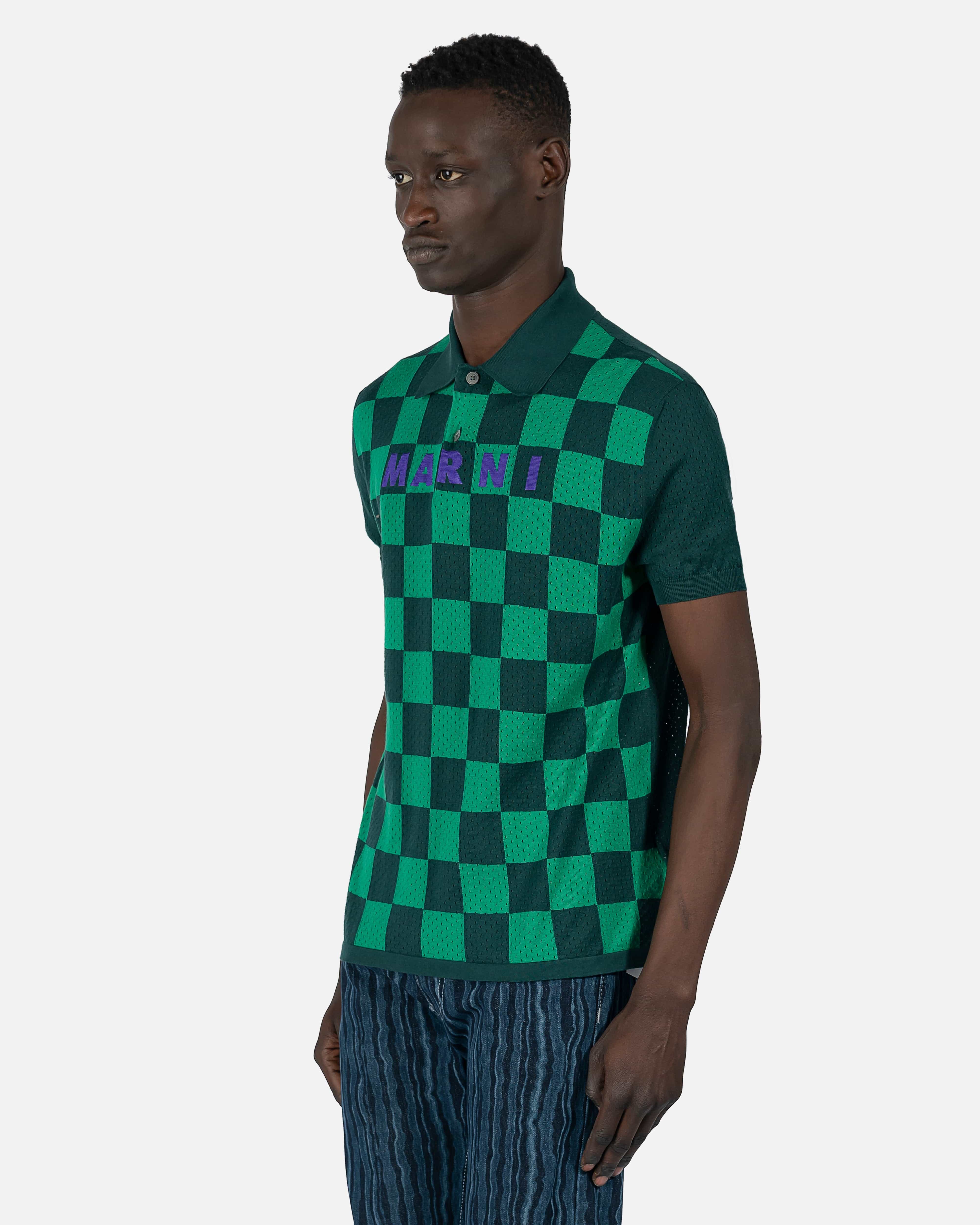 Checkered 2024 polo shirt