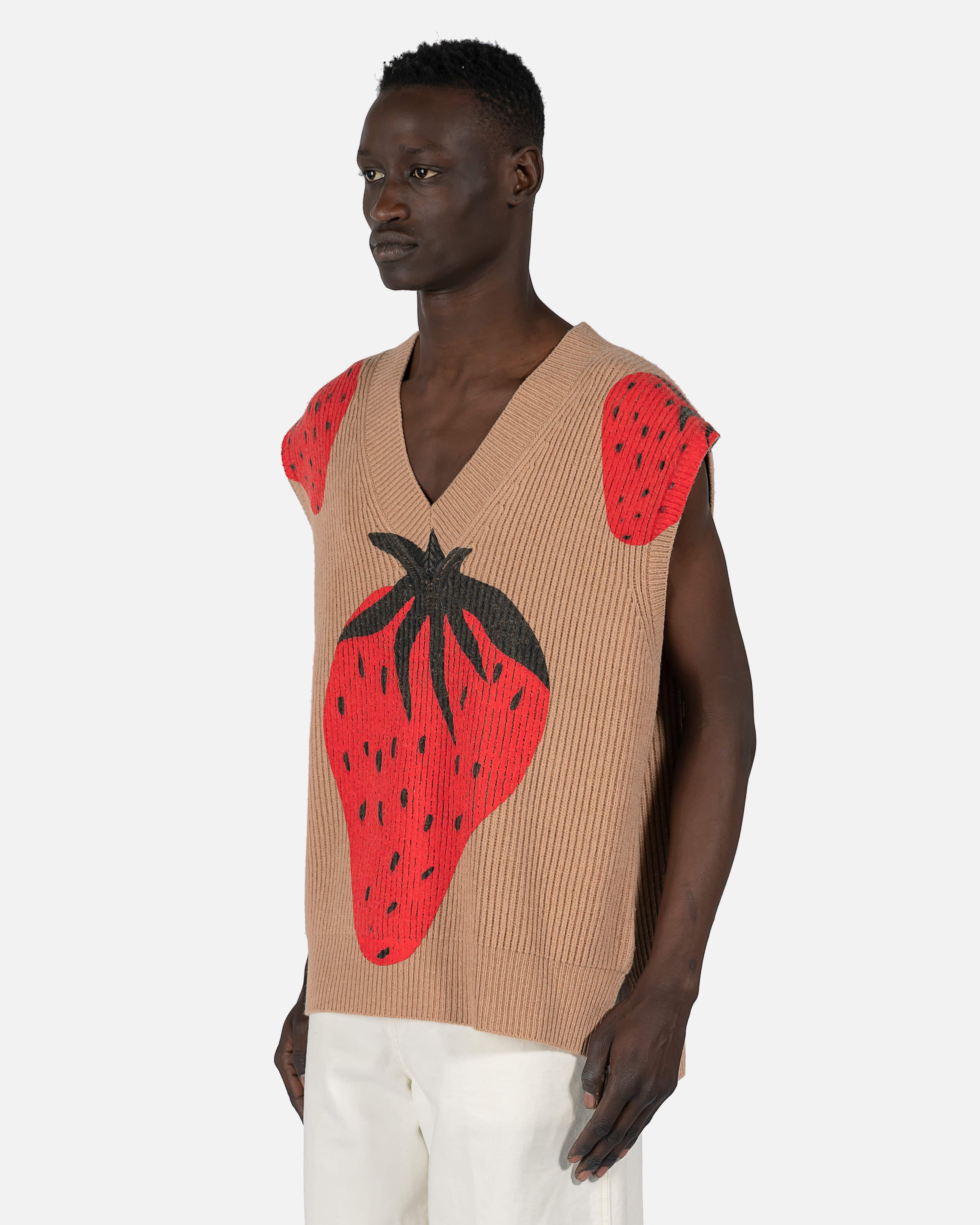 Strawberry V-Neck Vest in Brown – SVRN