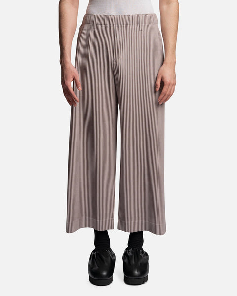 Tailored Pleats 2 Pants in Alpaca Gray